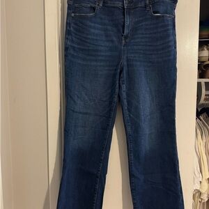 American Eagle Outfitters Dark Blue Straight Leg Jeans
